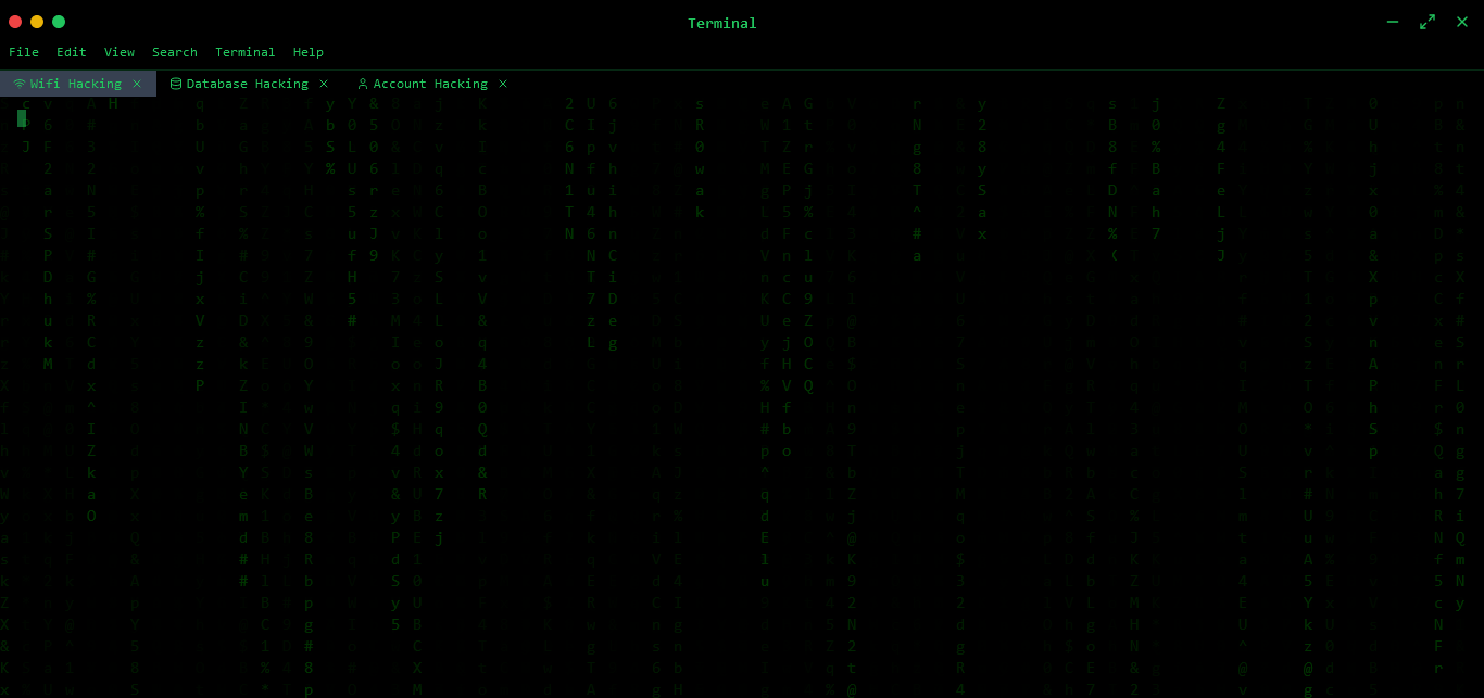 Hacking Screen
